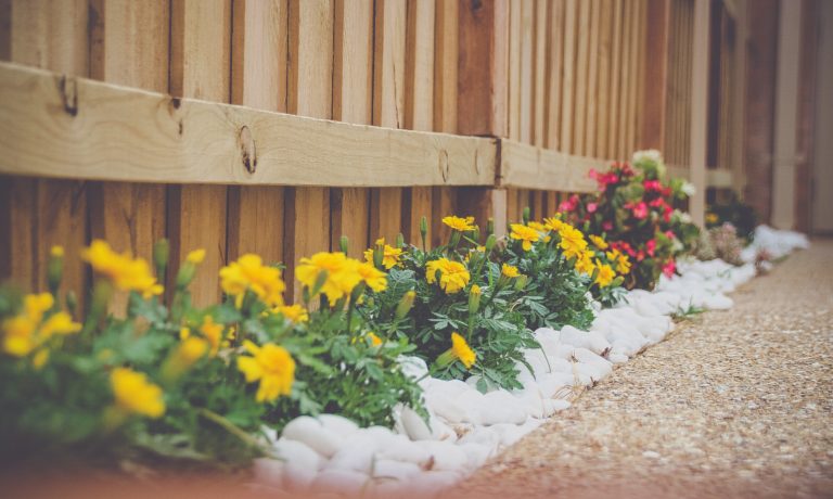 folower-landscaping-done-against-an-edmonton-fence