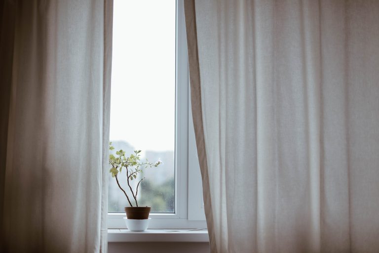 A-flower-sitting-on-the-sill-of-a-enerrgey-efficient-window